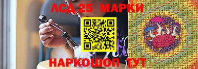 амф Гай