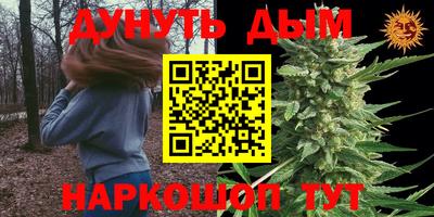 амф Гай