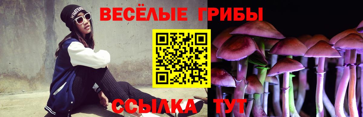 Славянск-на-Кубани  Псилоцибиновые грибы Cubensis  Галлюциногенные грибы прущие грибы  Вход с VPN 